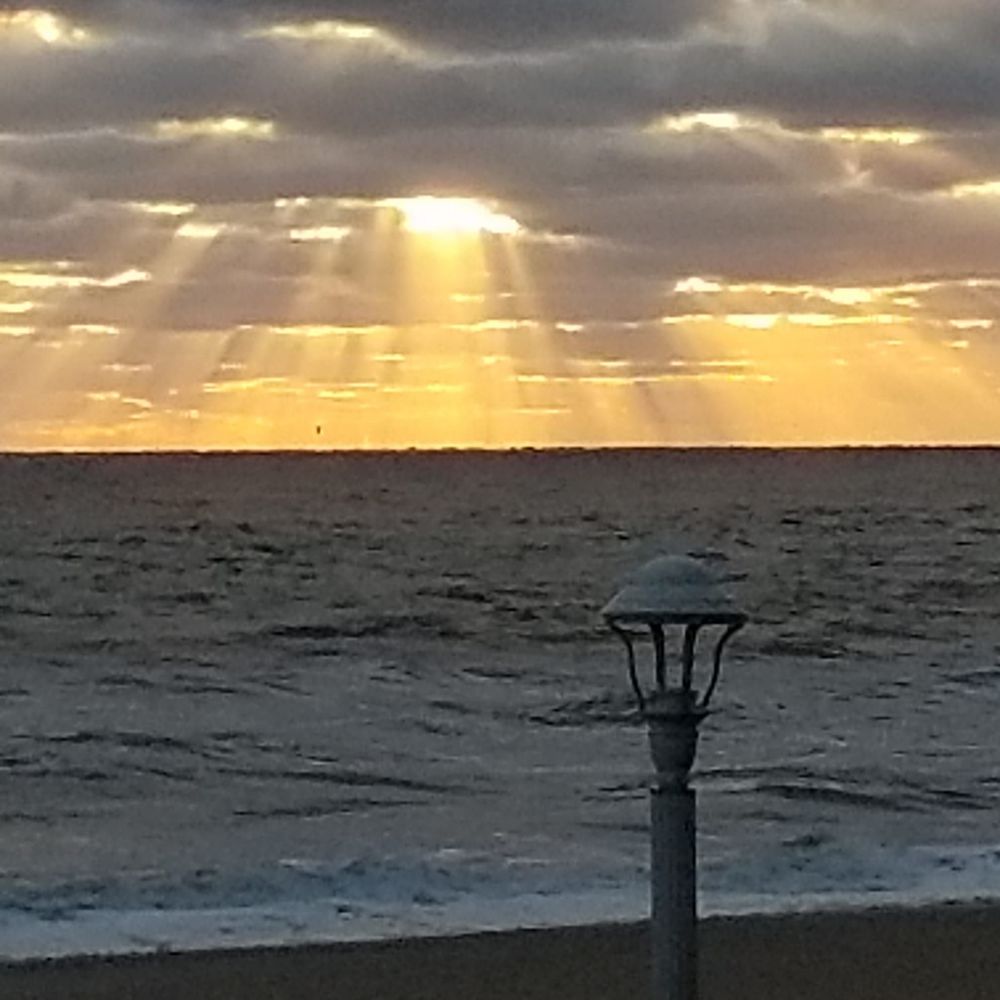 Meet your Posher, Octavia